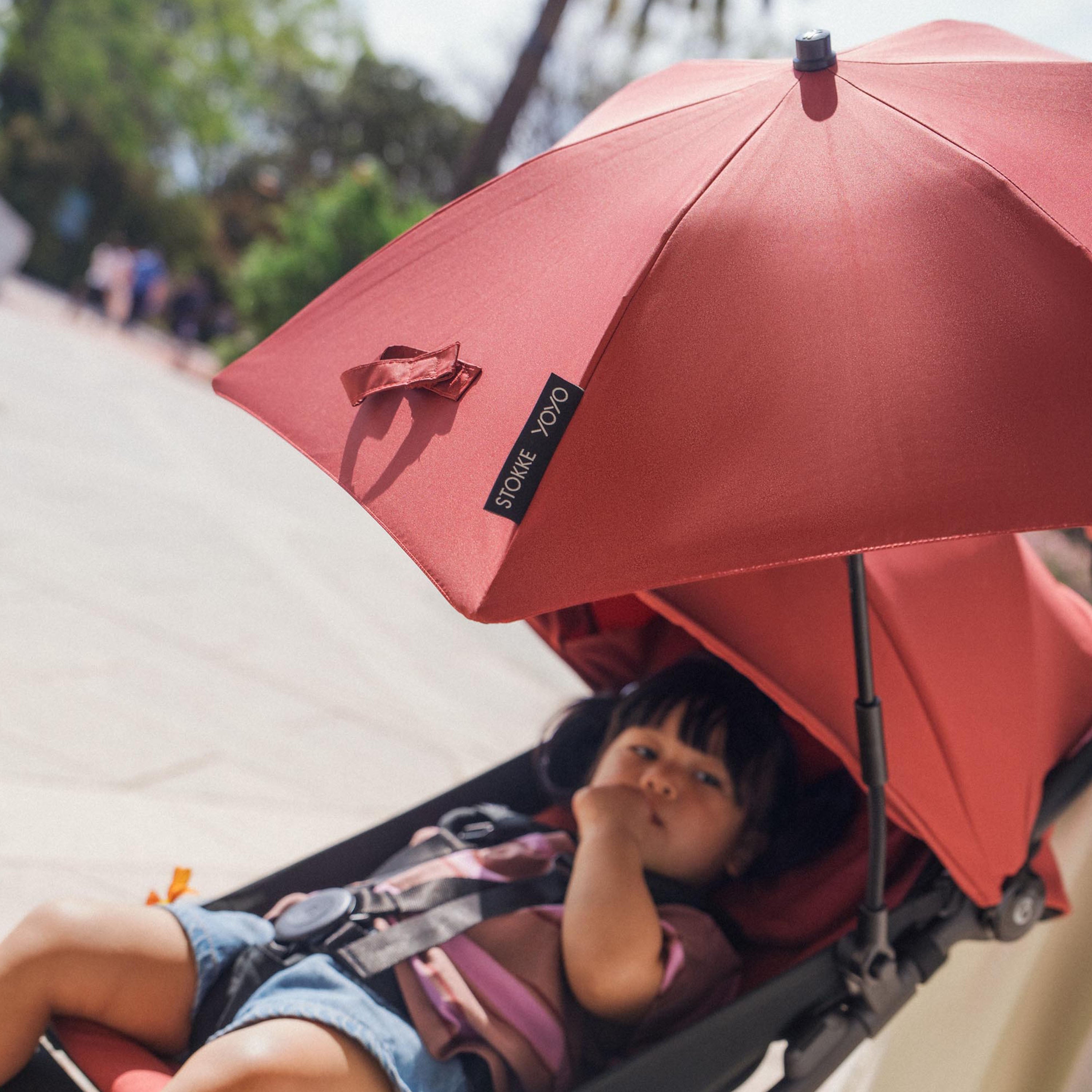 YOYO® Parasol Berry